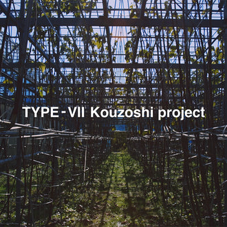 TYPE-VII Kouzoshi project
