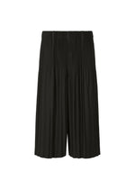 TAILORED PLEATS 1