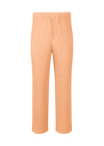 COLOR PLEATS