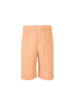 COLOR PLEATS