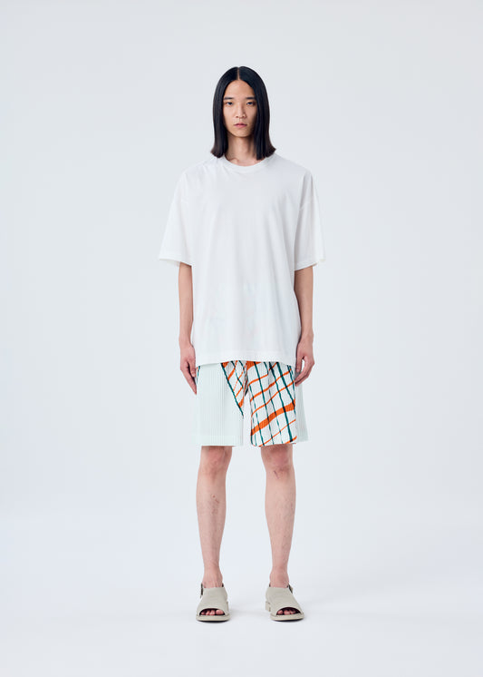 WINDSWEPT PLAID、メンズ_パンツ、着用画像1