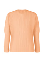 COLOR PLEATS