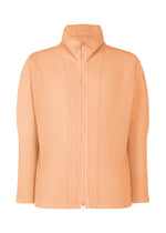 COLOR PLEATS