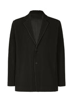 TAILORED PLEATS 1