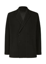 TAILORED PLEATS 1