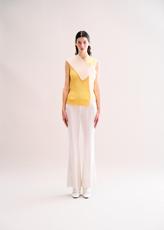 FRAMED PLEATS、ウィメンズ_トップス_トップ、着用画像1