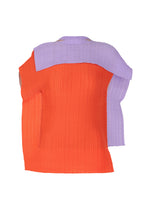 FRAMED PLEATS