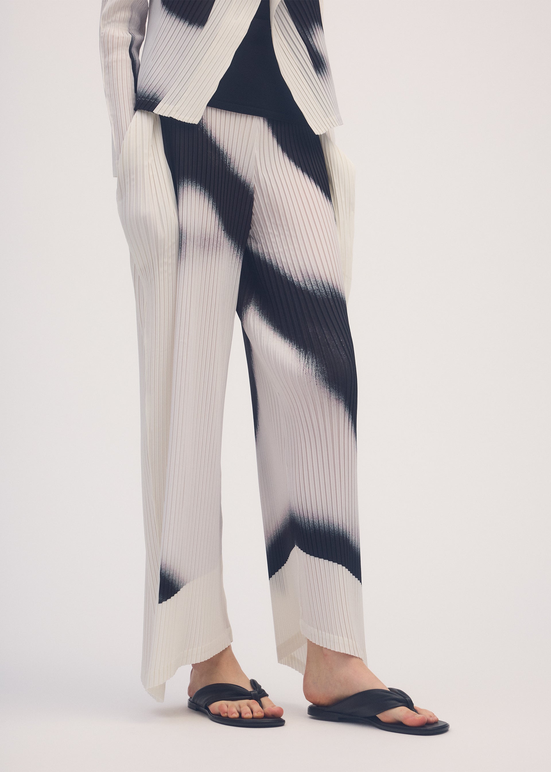 SHADOW STUDY PLEATS、ウィメンズ_パンツ、着用画像2