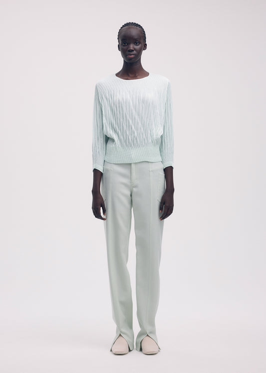 SUEDE LIKE PUFF PLEATS、ウィメンズ_トップス_トップ、着用画像1
