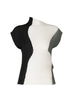 ABSTRACT TINT PLEATS