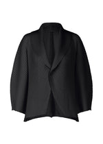 SOFT FOLD PLEATS