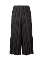 COLOR PLEATS BOTTOM