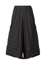 COLOR PLEATS BOTTOM