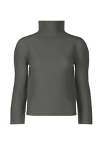 STRETCH PLEATS 4