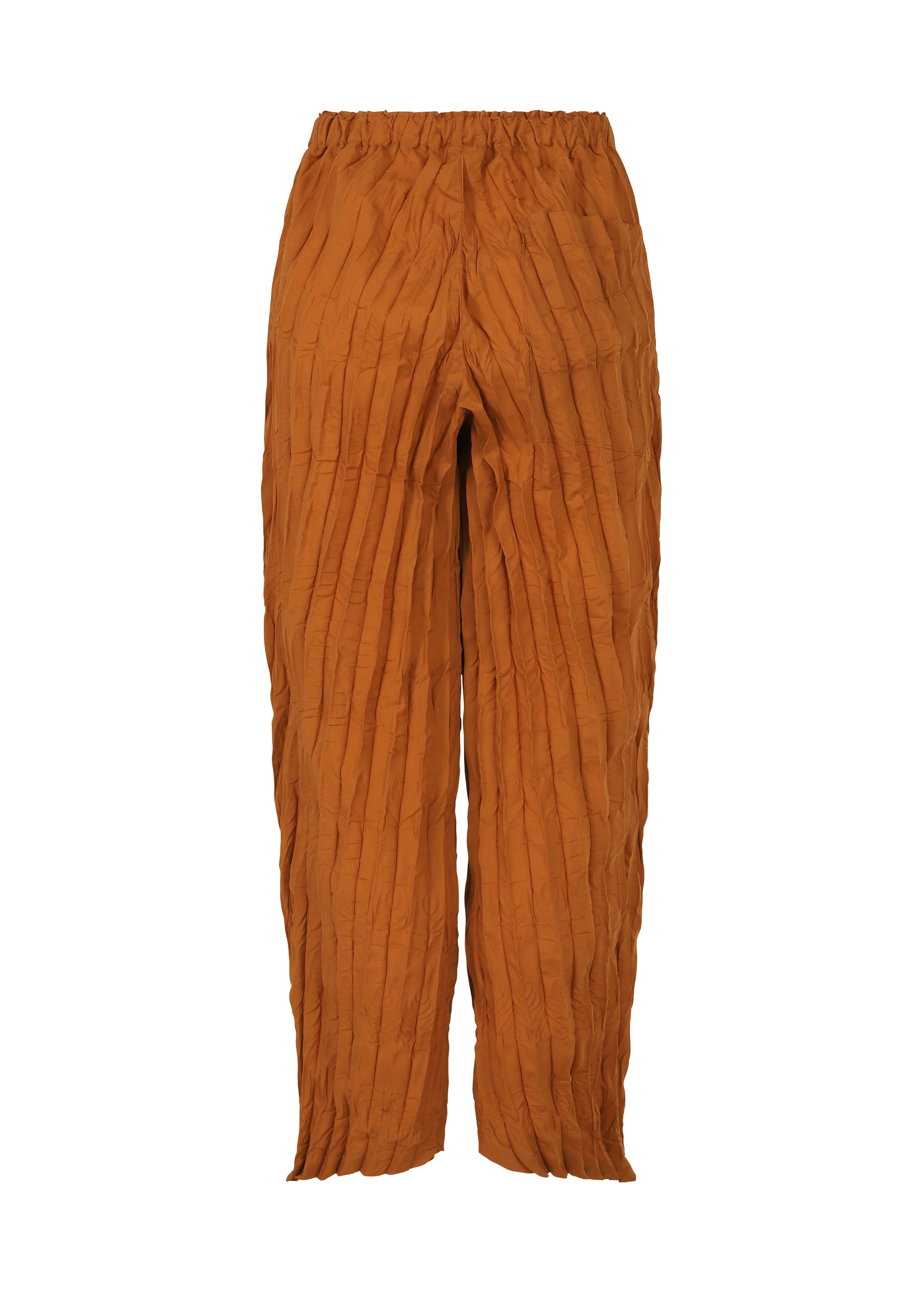 WHIPPED PLEATS BOTTOM、ウィメンズ_パンツ、ディテール画像1
