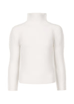 STRETCH PLEATS