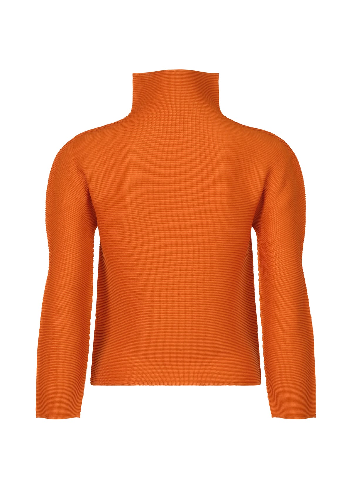 STRETCH PLEATS 6、ウィメンズ_トップス_トップ、ディテール画像1