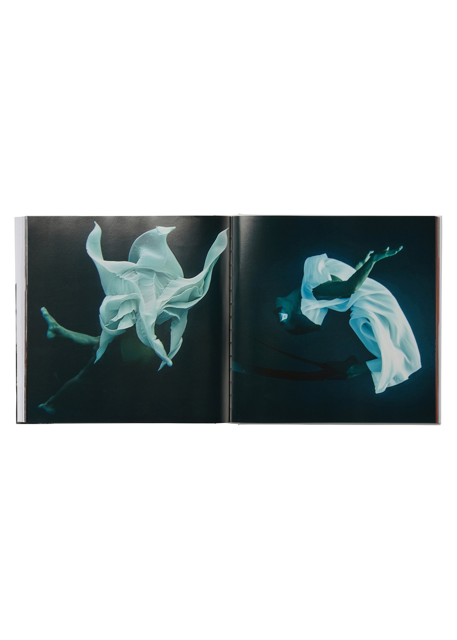 『ISSEY MIYAKE 三宅一生』(TASCHEN)、書籍、ディテール画像8