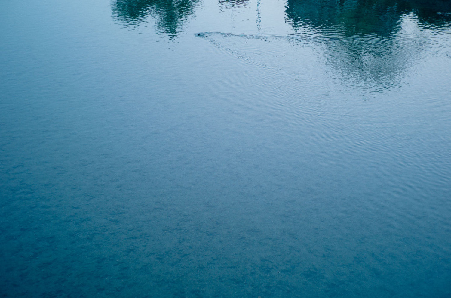 第1回 バック・トゥ・キョウト