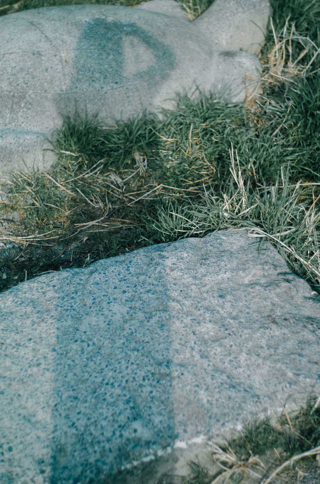 第1回 バック・トゥ・キョウト