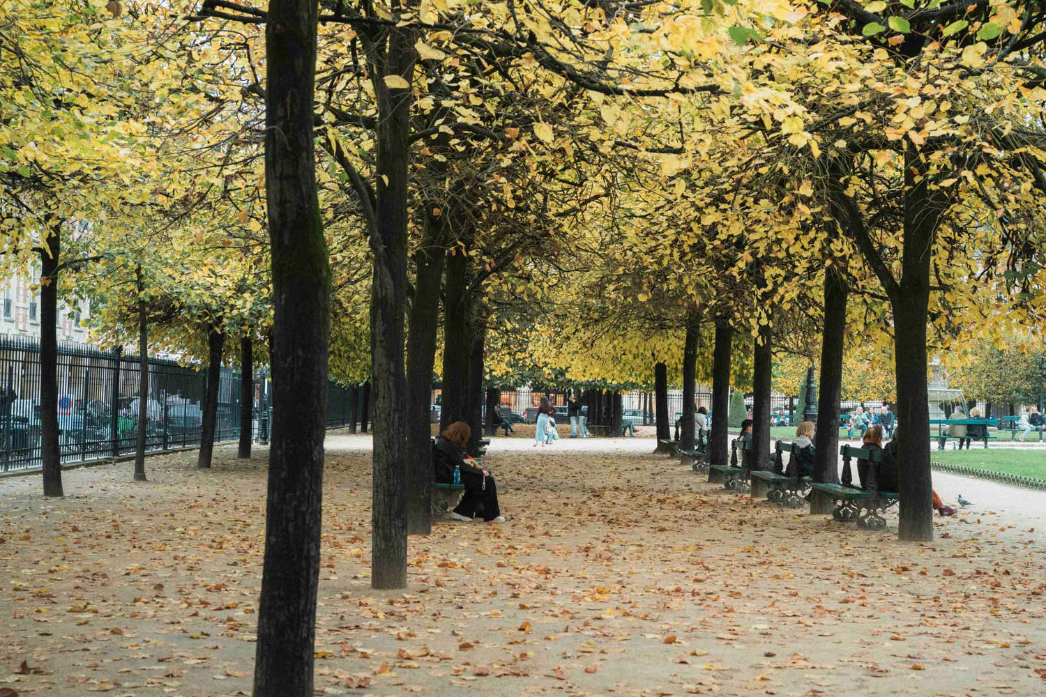 最終回 パリの友人たち