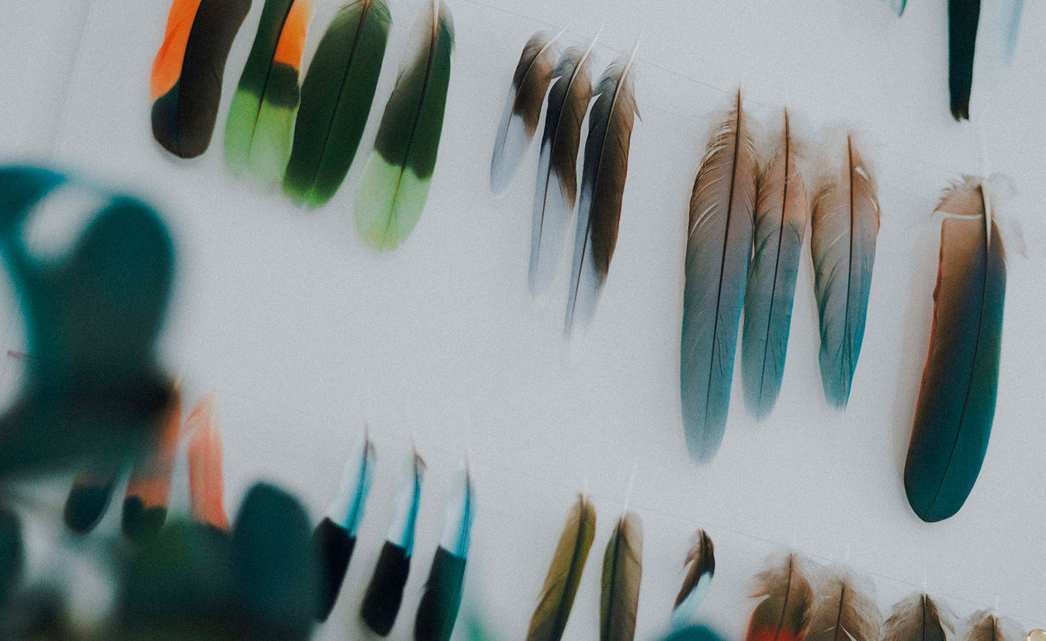 最終回 パリの友人たち