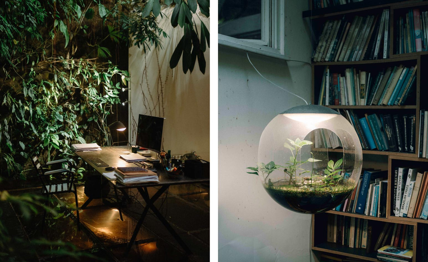 最終回 パリの友人たち