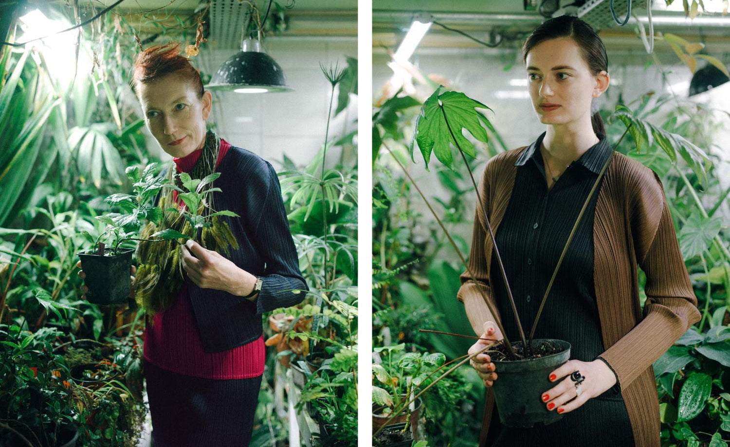 最終回 パリの友人たち