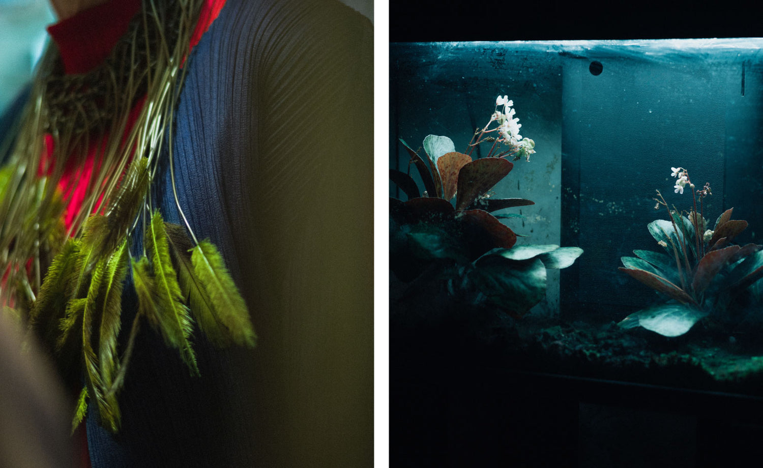 最終回 パリの友人たち