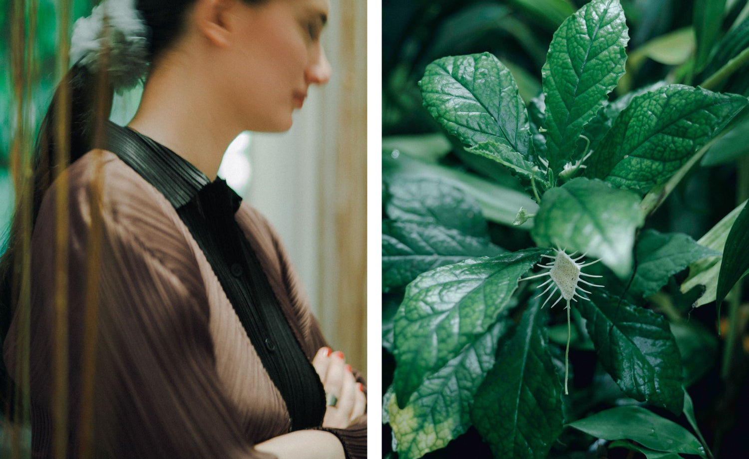 最終回 パリの友人たち