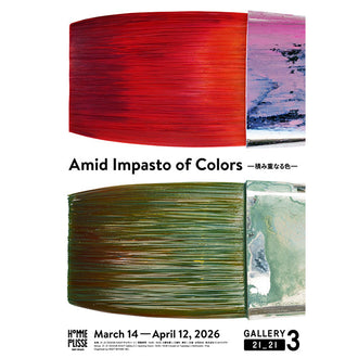 Amid Impasto of Colors ―積み重なる色―