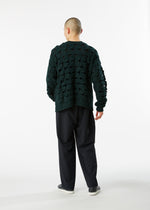 WOOL NEST KNIT、ウィメンズ_トップス_トップ、着用画像4