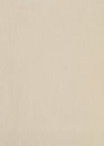 TENMOKU BOTTOM、ウィメンズ_パンツ、ディテール画像3