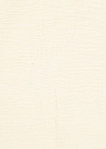 KYO CHIJIMI 2WAY JANUARY 1、ウィメンズ_トップス_トップ、ディテール画像2