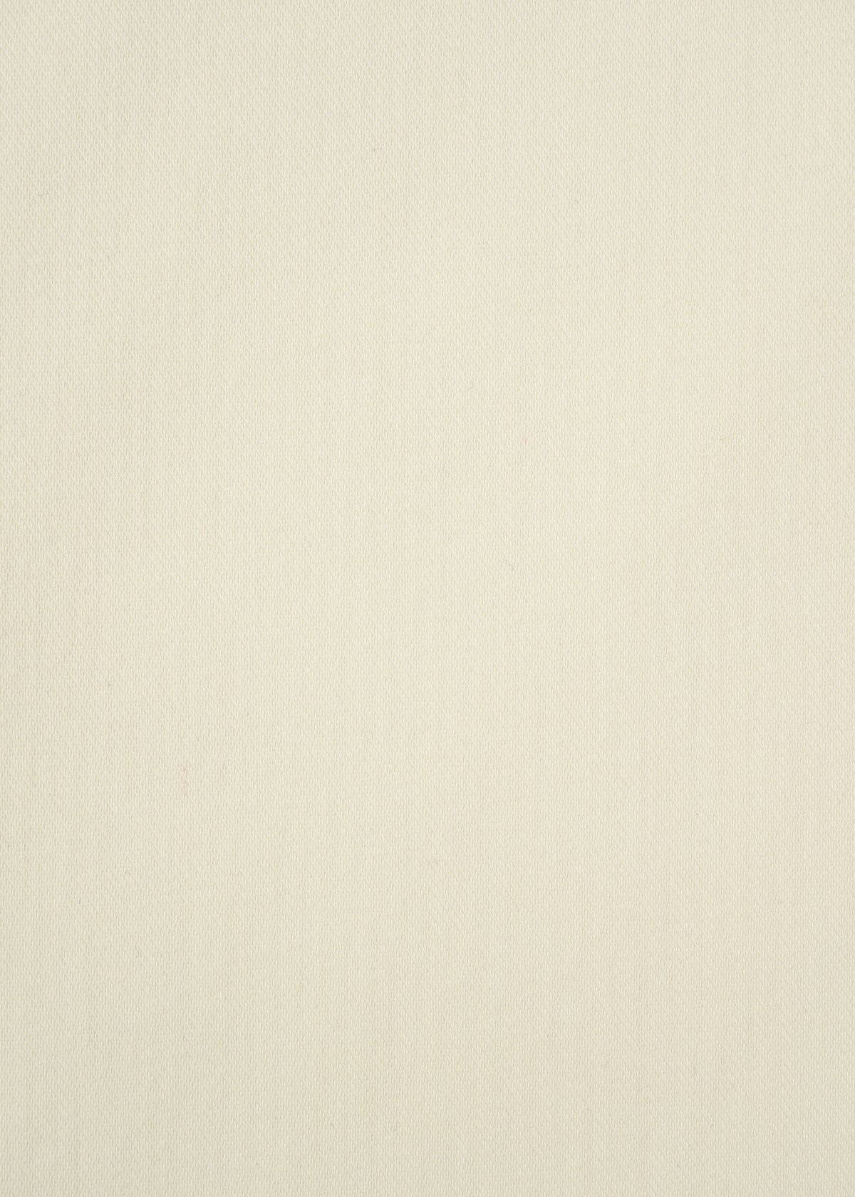 DENIM LIKE BOTTOM、ウィメンズ_スカート、ディテール画像2