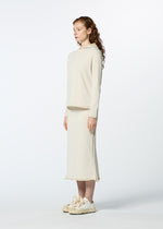 PLATED LINES、ウィメンズ_スカート、着用画像2