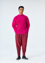 COLOR PLEATS、メンズ_パンツ、着用画像4