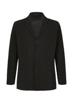 TAILORED PLEATS 2