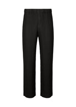 TAILORED PLEATS 2