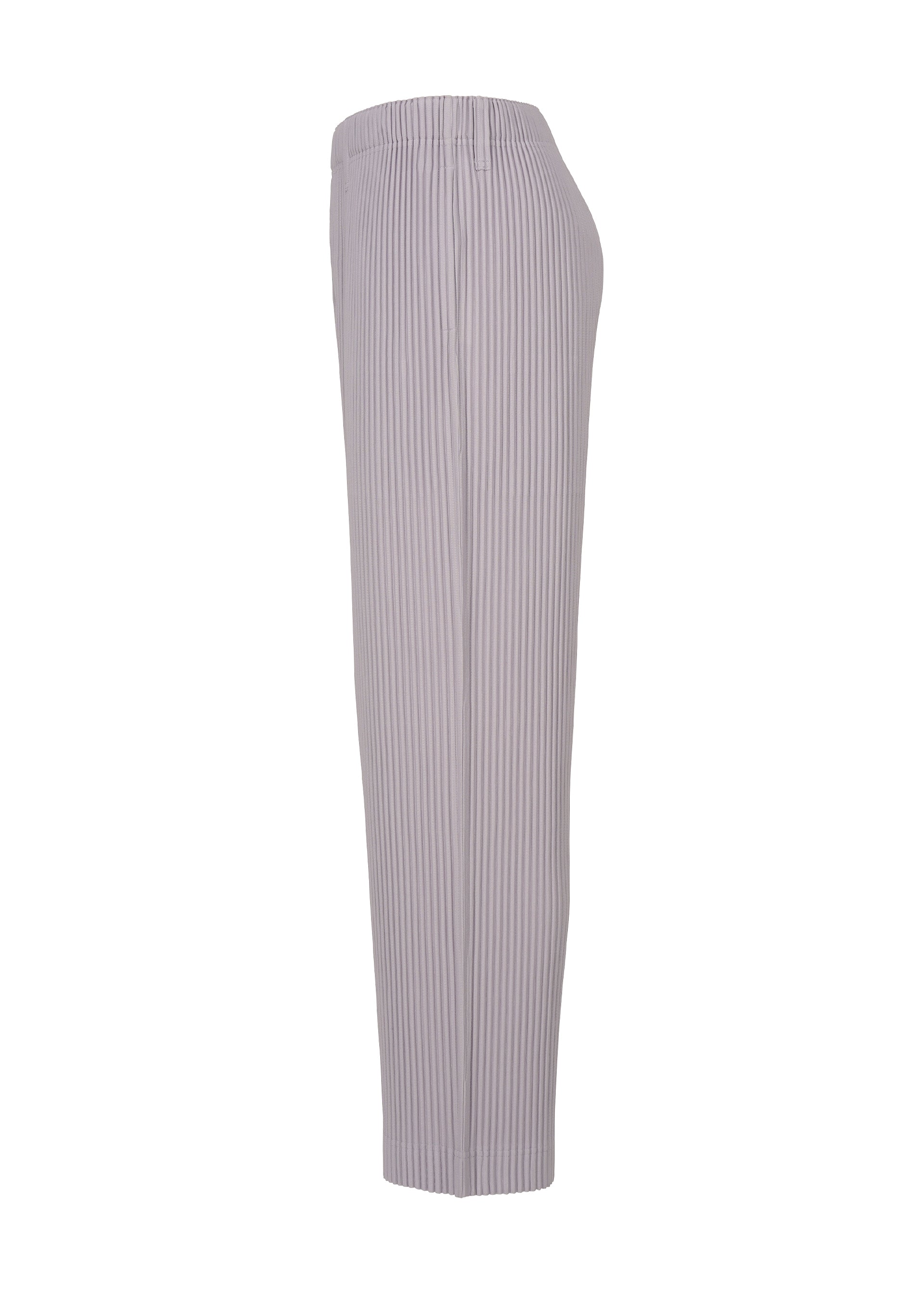 Tailored Pleats 2 Pants in Black – SVRN