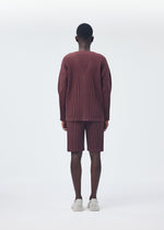 COLOR PLEATS、メンズ_パンツ、着用画像3