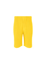 COLOR PLEATS、メンズ_パンツ、イエロー