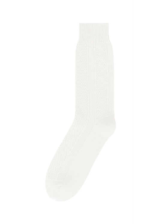 STEM SOCKS、アクセサリー&その他_レッグウェア&シューズ、ホワイト