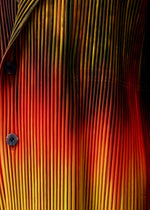 PAINT BRUSH CLOSE-UP、メンズ_ジャケット&コート_ジャケット＆ブルゾン、着用画像3