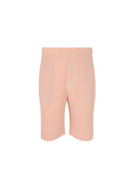 COLOR PLEATS 2