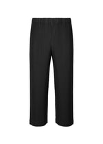 TAILORED PLEATS 2