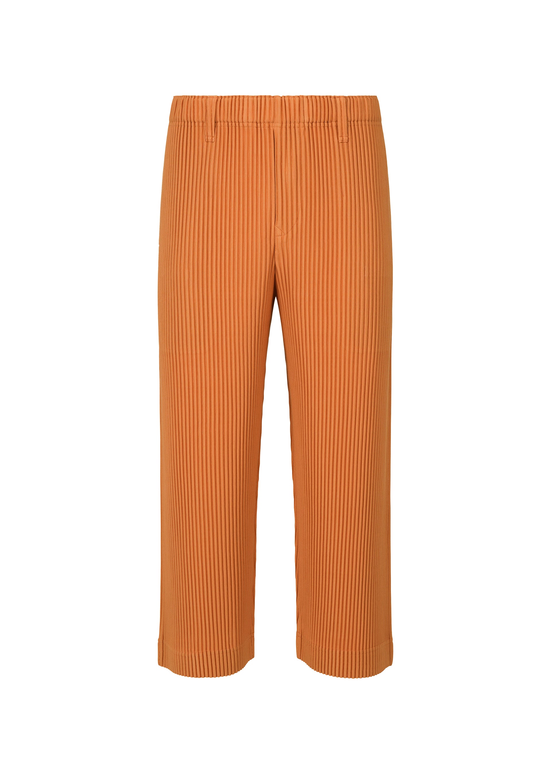 TAILORED PLEATS 2 – isseymiyake.com