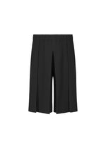 TAILORED PLEATS 2