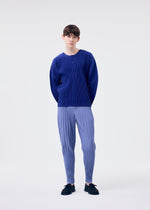 MONTHLY COLORS : FEBRUARY、メンズ_トップス_トップ、着用画像1