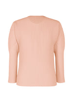 COLOR PLEATS 2